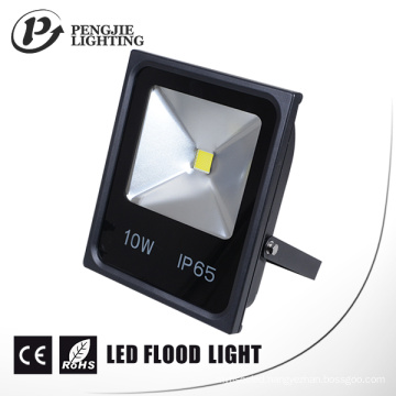 Hot Selling 2 Years Warranty LED Floodlights with CE (IP65)